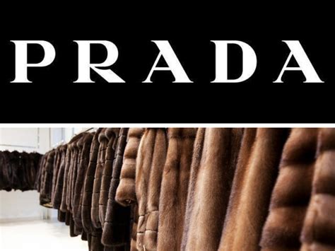 prada animali|Altro.